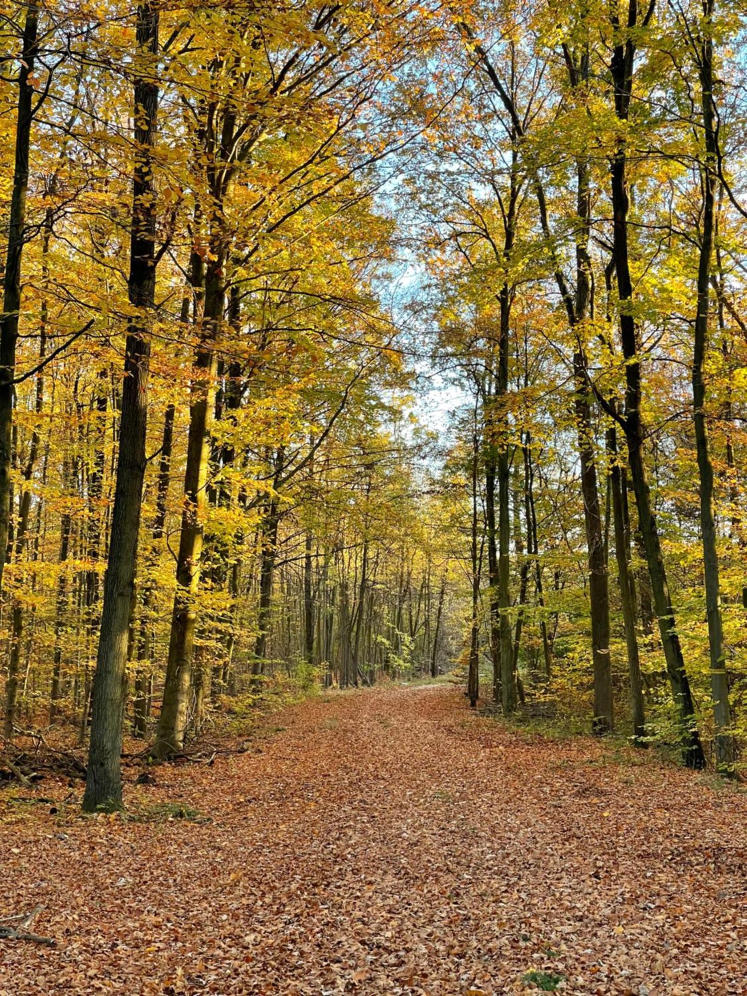 Mein Appartement Huerth Koeln Dış mekan fotoğraf